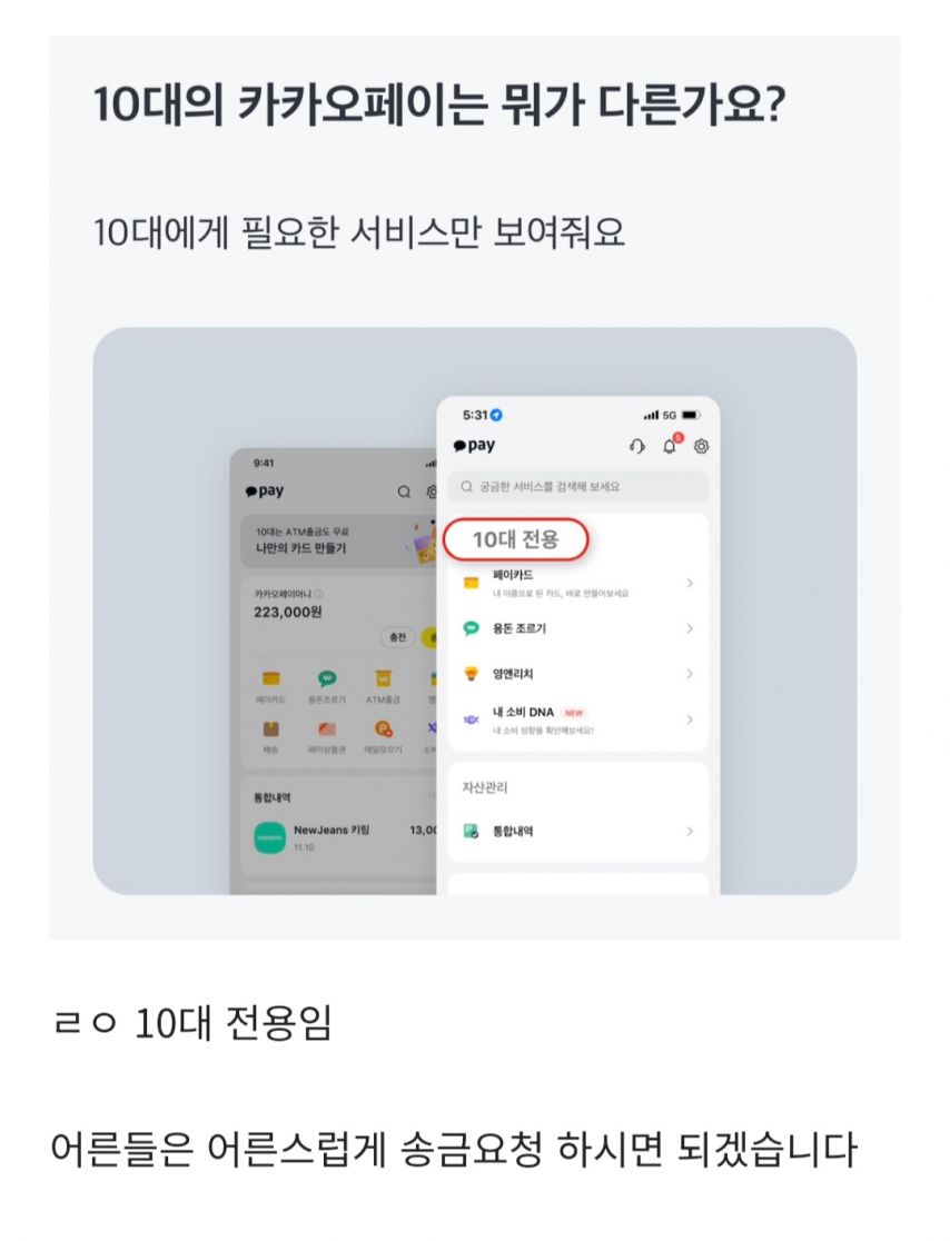 10대만 쓸 수 있다는 카카오페이 기능