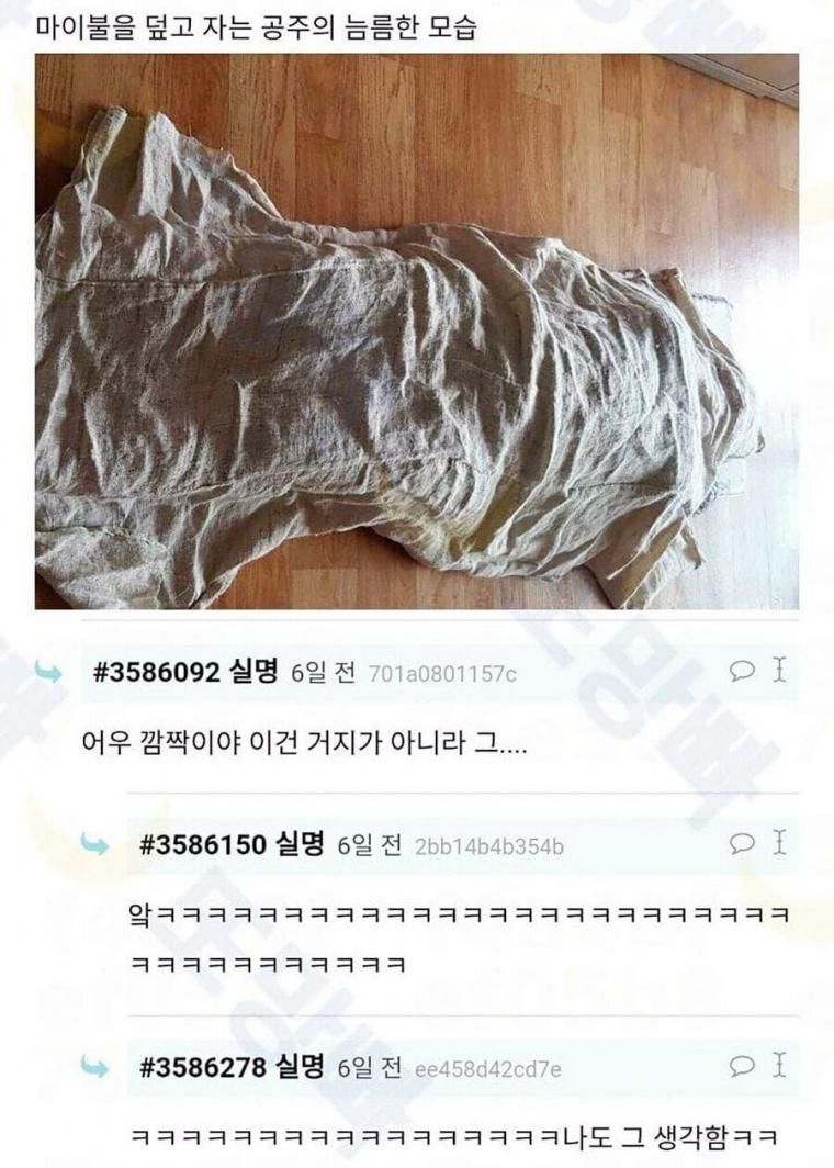 마로 된 이불 얻어온 여고생