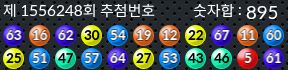 1556248 결과캡쳐