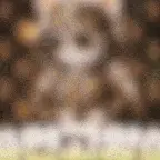 0bc441179265835baa3fe0e5445a43a2.gif